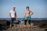 ECHOS NATURE, visite nature, sortie nature pornic, sortie nature la plaine sur mer, sortie algues, guide faune flore pêche à pied algues, destination pornic, activité chèques vacances