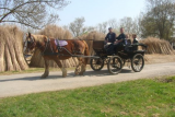 Sortie en famille proche de Pornic