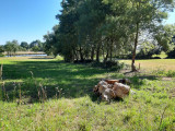 redim-2022-jg-rouans-vall-e-de-la-blanche-7-julie-girard-32670