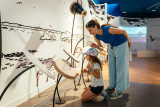La Maison du Lac de Grand-Lieu, museum near pornic, visit around pornic, guerlain pavilion,