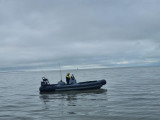 sea fishing river fishing instructor guide boat trip la plaine sur mer