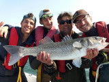 sea fishing river fishing instructor guide boat trip la plaine sur mer