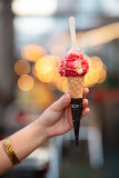 Rêve de glace, Pornic