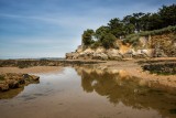 promenade, marée basse, pêche à pieds