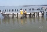 Romain Charpentier La Plaine sur Mer Miesmuscheln 