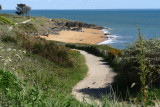 lande ajoncs côte sauvage préfailles destination pornic nature sentier randonnée faune flore