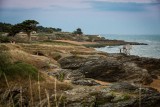 coastal path, tree, cypresses de lambert, walk, pornic