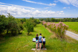 point de vue marais breton marais bocage saint cyr