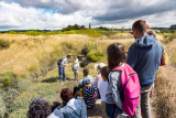 Visites des marais salants en Brière