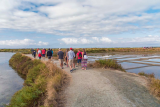 Visites des marais salants en Brière