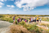 Visites des marais salants en Brière