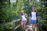 Voyage d'île en île au gré des passerelles enchantées