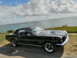 vtccollection-fr-location-mustang-sans-avec-chauffeur-pornic-joe-1-17564