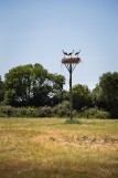 MARAIS DE VUE