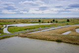 Marais Breton Vendéen Bourgneuf Villeneuve-en-Retz