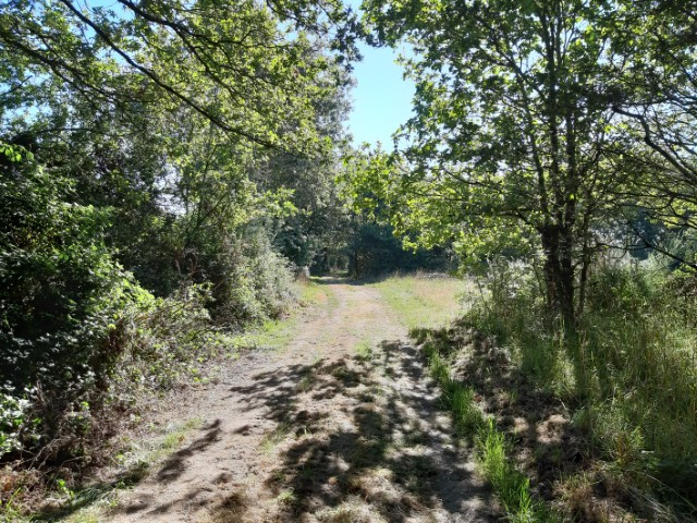 balade, balade pédestre, balade vélo, balade nature, balade, randonnée, randonnée pédestre, randonnée vélo,  circuit vélo, balade, randonnée