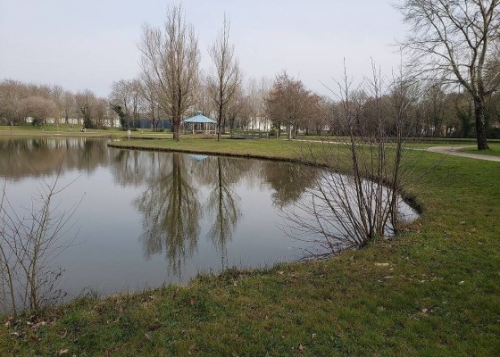 Le plan d'eau de Chéméré (Chaumes-en-Retz)