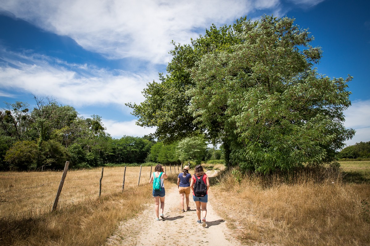 Promenade en campagne