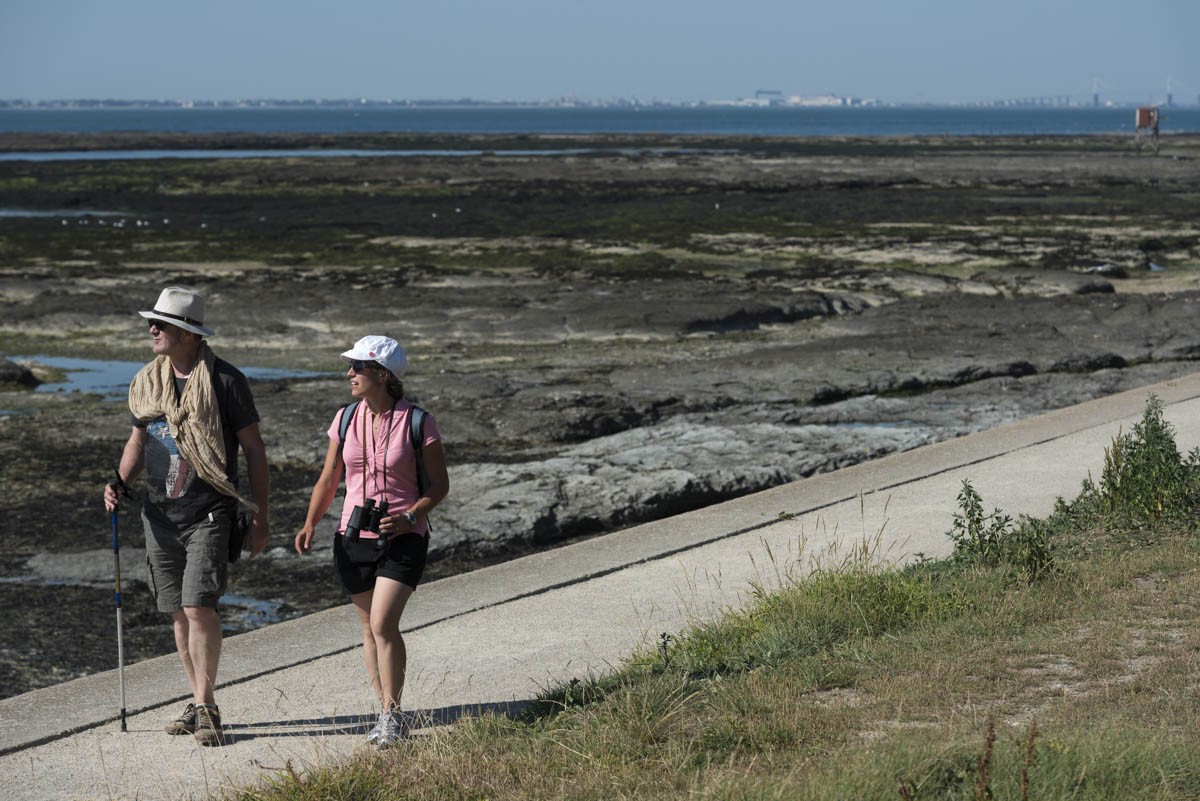 la plaine sur mer, randonnée pédestre, découverte bord de mer, balade, guide découverte du bord de mer, patrimoine natur