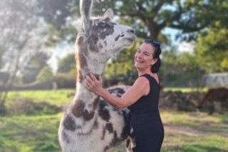 L'écrin de la belle étoile, llama and alpaca breeder 