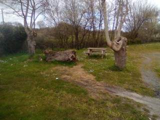 School picnic area