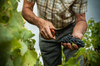Domaine Eric Chevalier