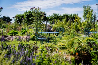 Le jardin de l'Eco-domaine de la Fontaine