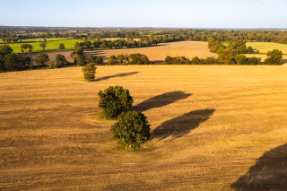 The countryside in Saint-Hilaire-de-Chaléons