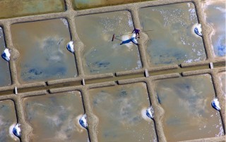 LA MAISON DES PALUDIERS GUERANDE SAILLE
