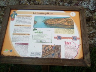 Pupitre : le murus gallicus