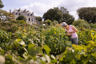 Les Petits Fruits de la Baie