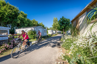 Location de vélo au camping La Guichardière 