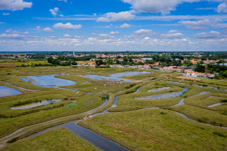 Marais Breton à Villeneuve en Retz