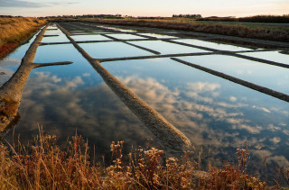 Les marais salants