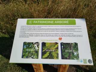 parcours-dinterpretation-site-2-32756