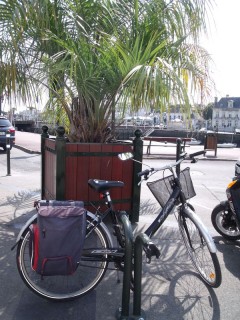 parking-velo-devant-la-poste-mai-2011-1-2904