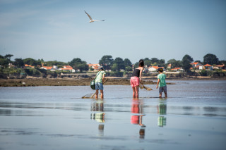 Pêche à pied à la grande plage et à la plage du chatelet St Michel Chef Chef