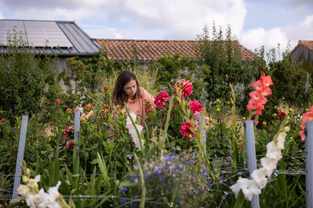 Les fleurs de la fontaine, Pornic