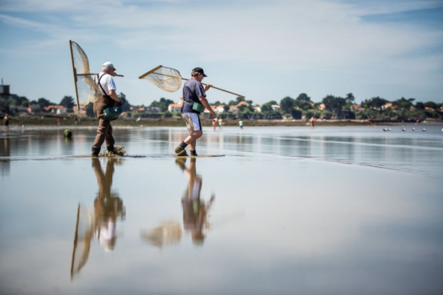Pêche à la plage d'Anjou, Saint-Michel-Chef-Chef
