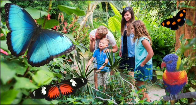 pornic-2026-ile-aux-papillons-30645