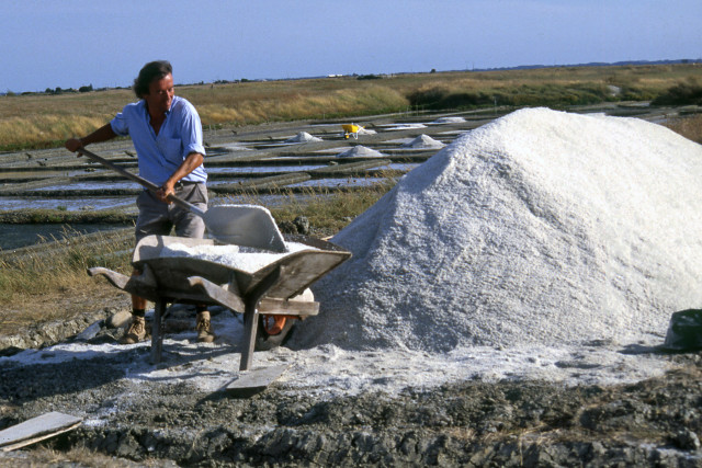 Sel de Bourgneuf-en-Retz