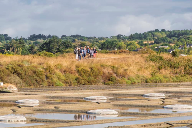 Visites des marais salants en Brière 