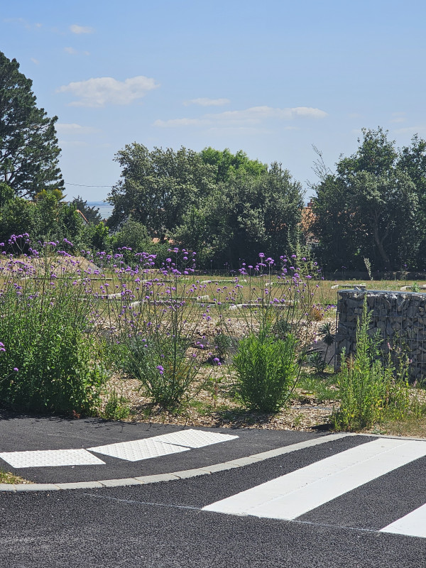 20250616-160535-31247