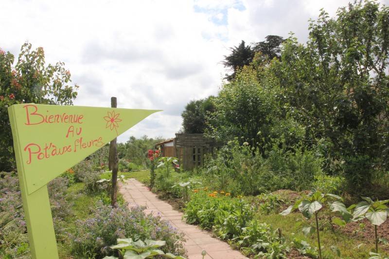 le pot'aux fleurs jardin naturel plantes aromatiques florence daspremont chauvé pays de retz proche pornic