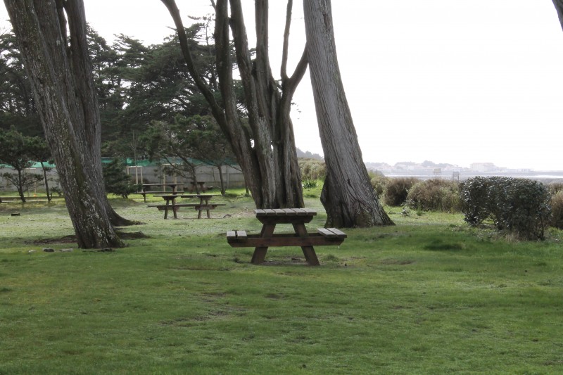 la plaine-sur-mer, la prée, aire, pique-nique, soleil, manger, ombre, arbre