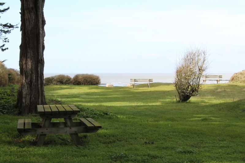 la plaine-sur-mer, aire, pique-nique, soleil, manger, ombre, arbre