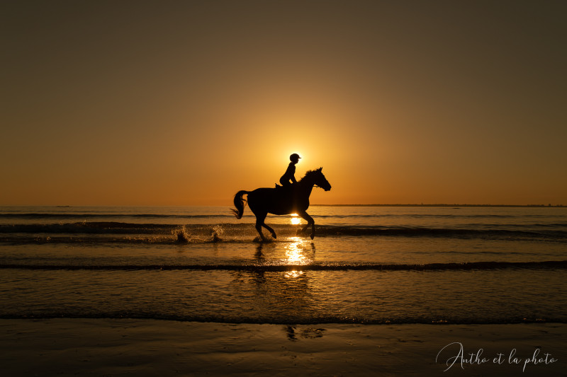 Antho et la photo, photographe
