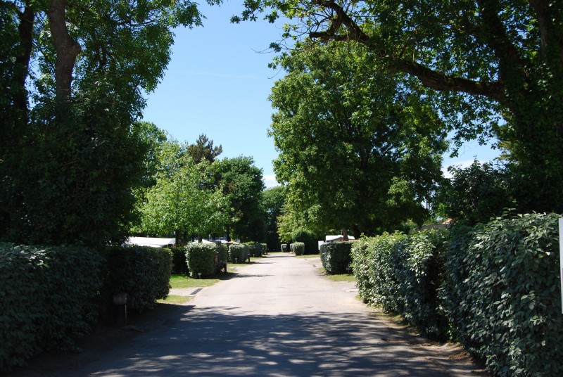 Camping Les bleuets, Allée