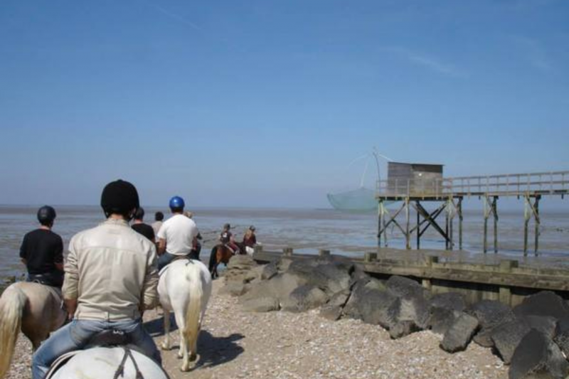 Beach pony ride near Nantes St Nazaire