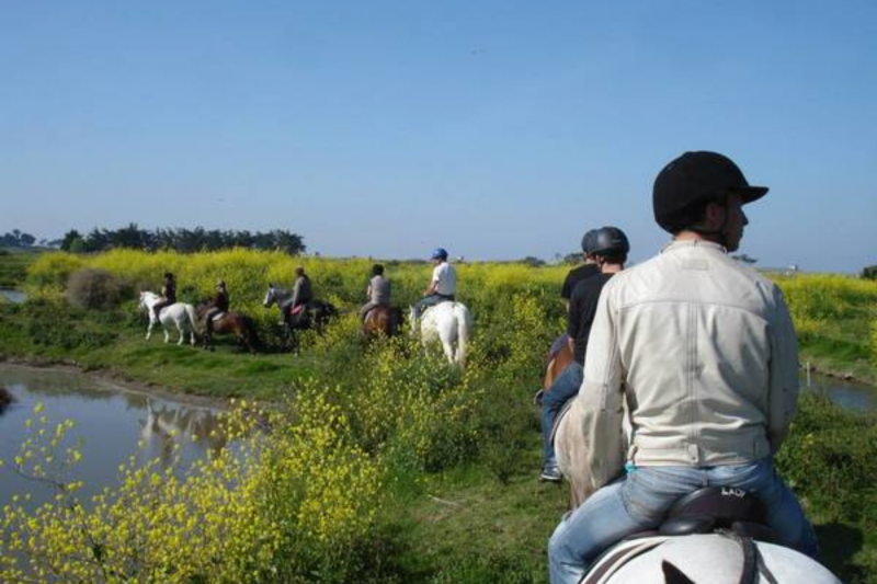 Horse ride Marais de Lyarne Les Moutiers en Retz